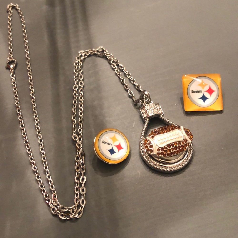 Snapituppittsburgh football fan